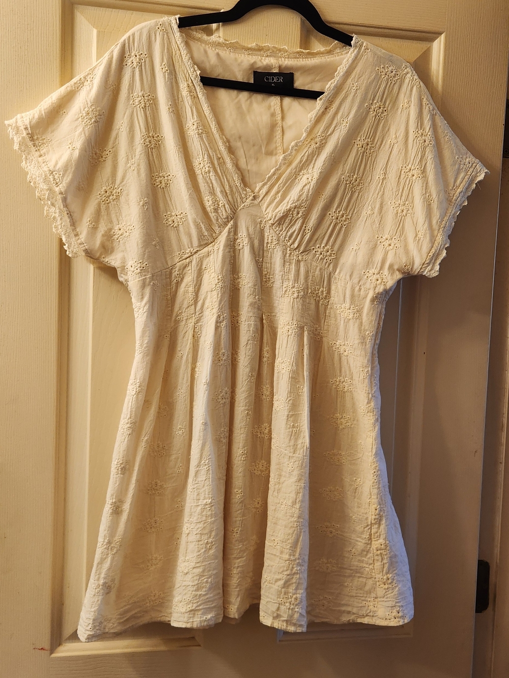 Cider Cream Eyelet V-Neck Tunic Top